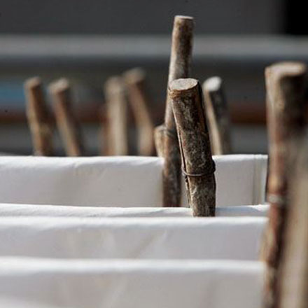 便宜的能源vi設計公司排名