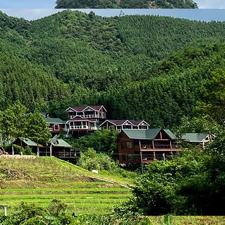 河西區能源vi設計公司