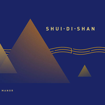 設(shè)計(jì)傳達(dá)上市公司穩(wěn)定性和可信度的品牌形象