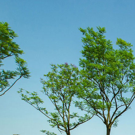 如何設(shè)計(jì)一個(gè)與家居與室內(nèi)設(shè)計(jì)行業(yè)相關(guān)的標(biāo)志？